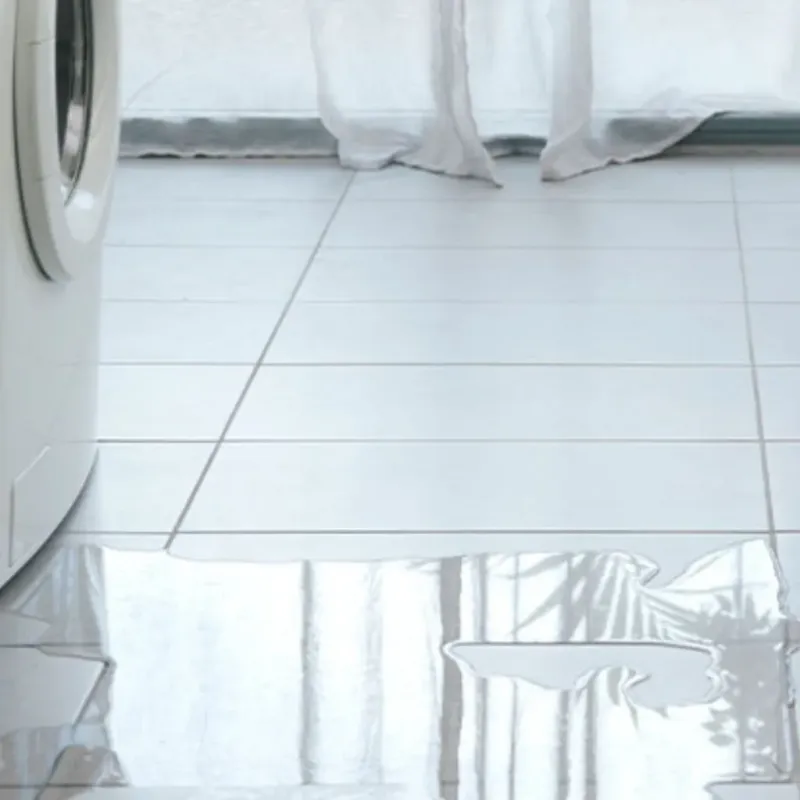 Appliance Leak Cleanup in Meadow Oaks, FL