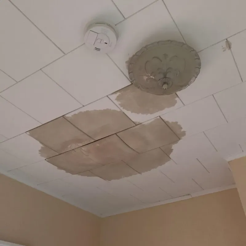Ceiling Water Damage Repair in Meadow Oaks, FL